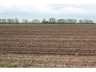 Property photo 67 - LAND AUCTION - 492+/- ACRES OFFERED IN 7 TRACTS IN SULLIVAN & KNOX COUNTIES, INDIANA